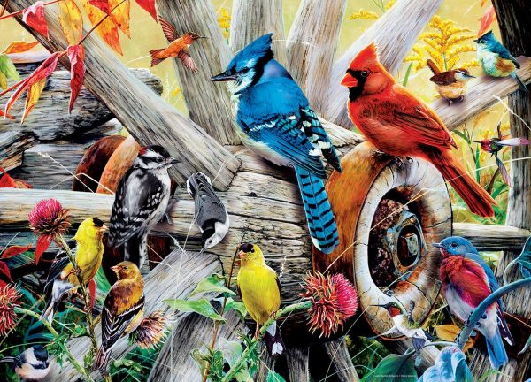 Backyard Birds 1000 Piece Jigsaw Puzzle on Sale - Image 3